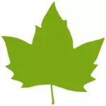 Vector illustration of a maple leaf