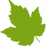 Green maple leaf vector image