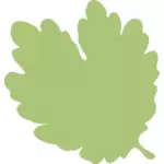 איור של עלה ירוק חיוור צללית