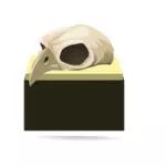 Craniu de pasăre