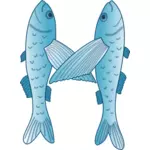 Illustration vectorielle bleu et blanc de deux poissons