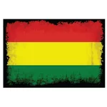 グランジ テクスチャとボリビアの旗