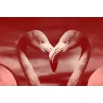 Flamingos em forma de coração