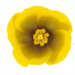 Śliczny żółty kwiat