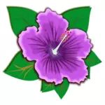 Фиолетовый цветок с листьями