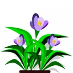 Image vectorielle violettes