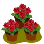Pots avec des roses