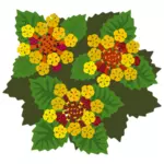 Luonnonvaraiset keltaiset kukat