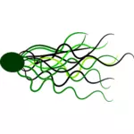 Flowing lines vector image