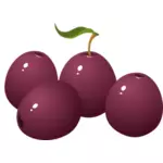 Violet plums