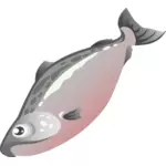 Salmon fish image