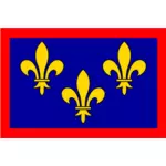 Frankrike Anjou regionen flagga vektorbild
