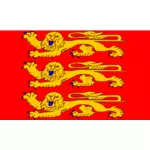 Normandia regionu flaga grafika wektorowa