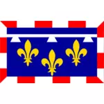 Флаг региона центр-Валь де Луар векторной графики