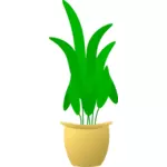 Illustrazione della foglia grande pianta in vaso