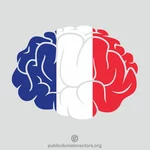 Fransk flagg hjerne silhuett