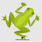 צפרדע ירוקה