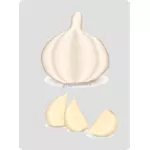 Tanaman bawang putih