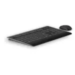 Computer keyboard and mouse vector drawing