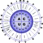 Генетический код РНК векторное изображение