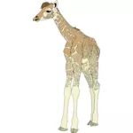 Tekening van Baby Giraffe