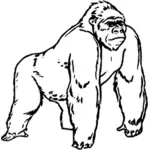 Gorill garis seni vektor gambar