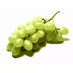 Obraz stylizowany zielonych winogron