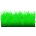 طويل القامة العشب الأخضر