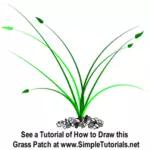 Ilustração em vetor de amplo crescimento remendo da grama