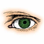 Face humana do olho verde