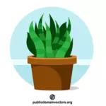 Pianta verde che cresce in vaso