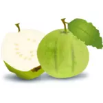 Guava vektori kuva