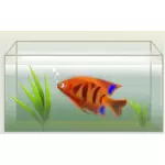 Orange fisk i akvariet vektor illustration