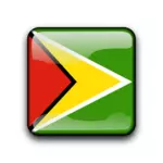 Tlačítko příznak Guyana