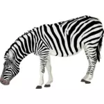 Vector afbeelding van fotorealistische zebra