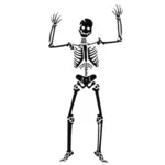 Image vectorielle de squelette humain effrayant