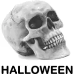 Halloween skalle vektorbild