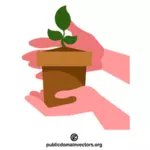 Mains tenant une pousse de plante dans un pot