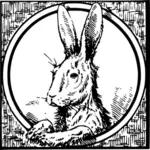 Framed hare vector clip art