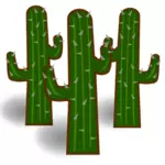 Drie cactus