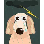 Treurige hond in de regen