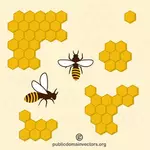 Honig-Bienen