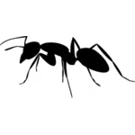Karınca simgesi siluet vektör çizim