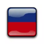 Haiti vector flag button