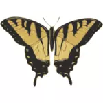 टाइगर पैटर्न तितली के वेक्टर छवि