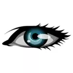Vektorové grafiky ženské oko