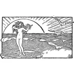Venus şi imaginea vectorială coajă de jumătate