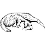 Ilustración del oso hormiguero