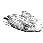 Ilustraţie vectorială de pasăre aripa în alb şi negru