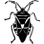 Bug de preto e branco